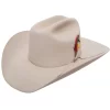 Stetson Hats 6X Silverbelly Roper 4in. Brim 2 Cord Silverbelly Band Felt Cowboy Hat