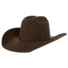 AHC Pecan 100X Self Band 4 1/4in. Brim Felt Cowboy Hat