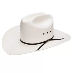 Stetson Hats 10X Rancher 4in. Brim Straw Cowboy Hat