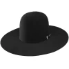 Resistol 20X Black Gold Felt Cowboy Hat