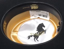 Stetson Dice Wool Gambler Hat -Western Cowboy Hat Dice2 72810.1656074495