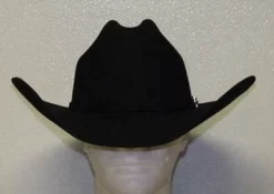 Stetson Apache Buffalo Felt Cowboy Hat -Western Cowboy Hat a20791d139df5bdd874312 m 50889.1404849063