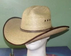 RESISTOL Jason Aldean Hicktown Palm Cowboy Hat